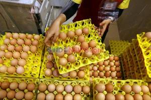 Harga Telur Tiarap, September Diperkirakan Deflasi 0,01%