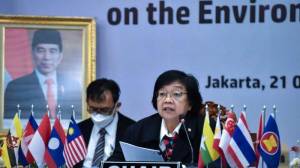 Indonesia dan Brasil Siap Kolaborasi Pengelolaan Pajak Karbon