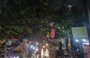 Pohon Tumbang, Jalan Akses Bekasi Utara Terputus
