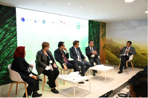 Indonesia dan Jerman Hadapi Tantangan Perubahan Iklim Lewat Proyek Infrastruktur Hijau