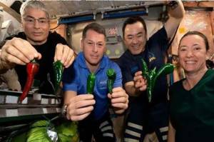 4 Astronot NASA Dijadwalkan Kembali ke Bumi, Sudah 6 Bulan Tinggal di Luar Angkasa
