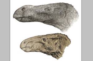 Peneliti Inggris Temukan Spesies Baru Dinosaurus Iguanodon di Kepulauan Isle