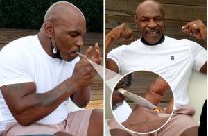 Geger Mike Tyson Meninggal Usai Mengisap Racun Kodok
