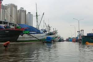 Pelabuhan Sunda Kelapa Tergenang Banjir Rob, Aktivitas Bongkar Muat Terhambat