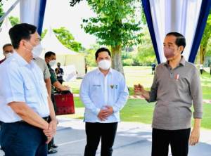 Jokowi Ingin Stop Impor Obat, Erick Thohir Sodori Kekuatan Industri Herbal RI