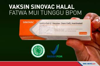 Vaksin Sinovac Suci dan Halal, Fatwa MUI Tunggu BPOM