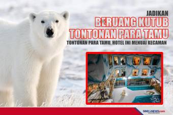 Jadikan Beruang Kutub Tontonan Tamu, Hotel Ini Menuai Kecaman