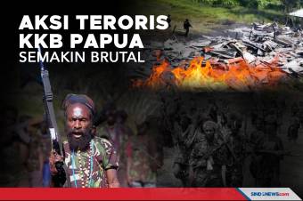 Teroris KKB Papua Bakar Gedung SD, Rumah Guru dan Puskesmas