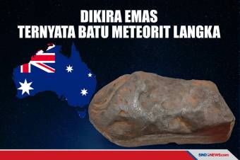Warga Australia Simpan Batu Dikira Emas Ternyata Meteorit Langka