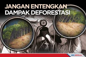 Banyaknya Bencana Hi­dro­meteorologi Akibat Deforestasi Hutan
