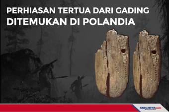 Perhiasan Tertua dari Gading Ditemukan di Polandia