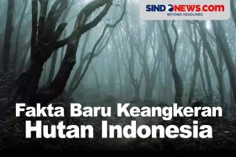 Fakta Baru Keangkeran Hutan di Indonesia Terungkap