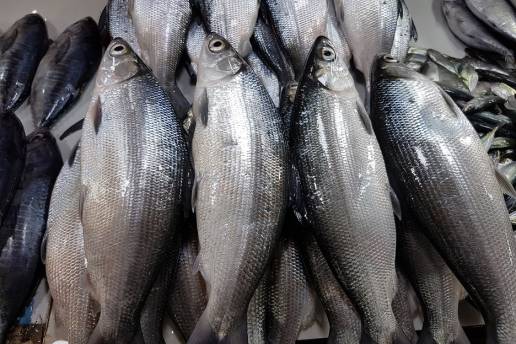 7 Ikan Tinggi Protein untuk Mencegah Stunting, Dukung Tumbuh Kembang Anak Optimal