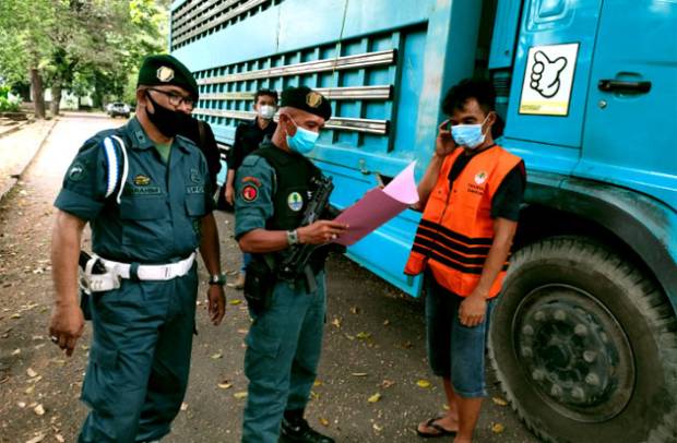 KLHK Ungkap Jaringan Perdagangan Kayu Ilegal Bermodus Dokumen Palsu di Luwu