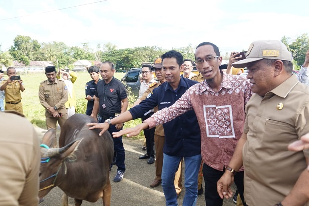 Jelang Idul Adha, Kabupaten Bone Kirim Ratusan Sapi ke Balikpapan