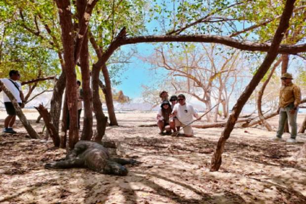 4 Wisatawan Timor Leste Jadi Tamu Pertama ke Pulau Komodo dengan Harga Baru