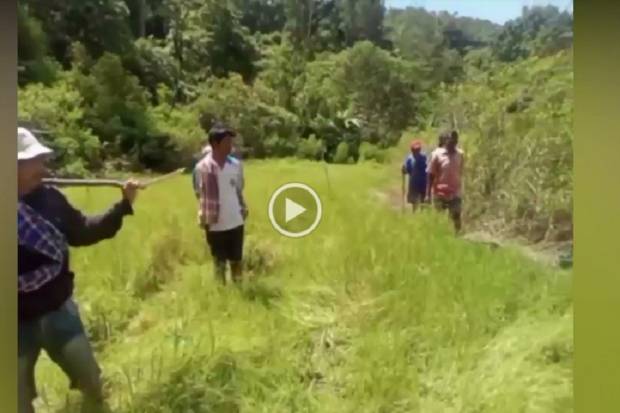 Niat Cari Warga Tenggelam, Serda Amiruddin Hanyut Terseret Arus Sungai Maiting Toraja Utara
