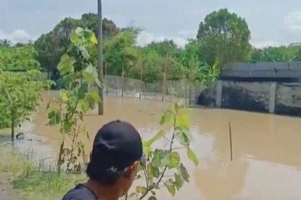 Warga Batubara Panik Pasca Tembok Penangkaran Buaya Jebol Diterjang Banjir