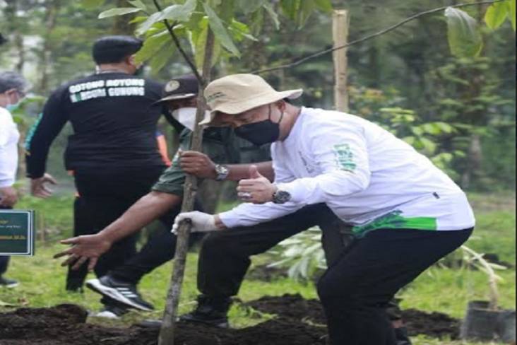 Hijaukan Tahura Raden Soerjo, Dinas Kehutanan Jatim Tanam Jutaan Pohon