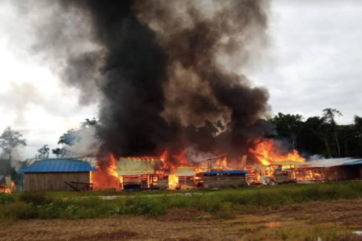 Brutal, KKB Serang dan Bakar Perusahaan Kayu di Maybrat Papua Barat