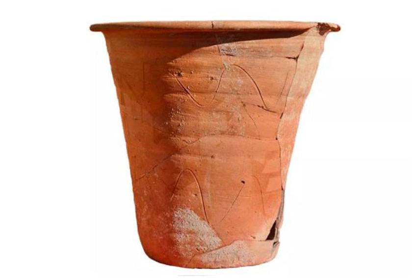 SINDO Hi-Lite - Pot Bunga Romawi Ini Berusia 1.500 Tahun, Isinya Bikin Jijik