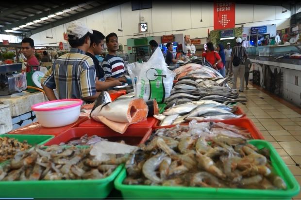 Jual Perlengkapan Ikan Terdekat - Harga Murah & Grosir Januari 2024