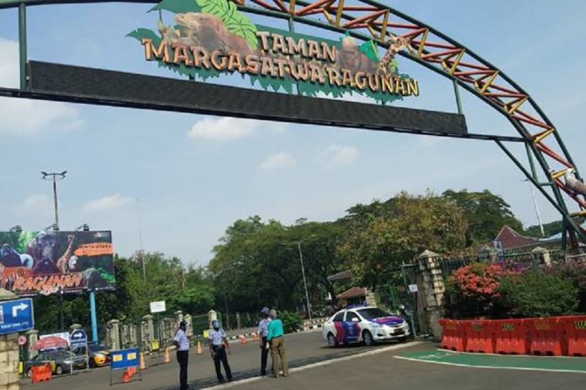 DKI Kucurkan Dana Rp130 Miliar Percantik Taman Margasatwa Ragunan
