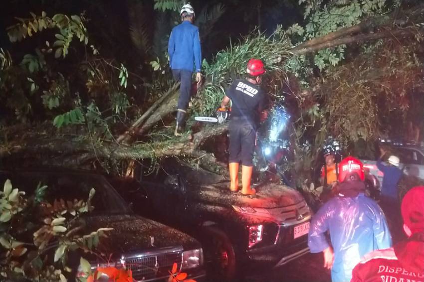 Hujan Deras dan Angin Kencang, Pohon Tumbang Timpa 3 Mobil di Empang Bogor