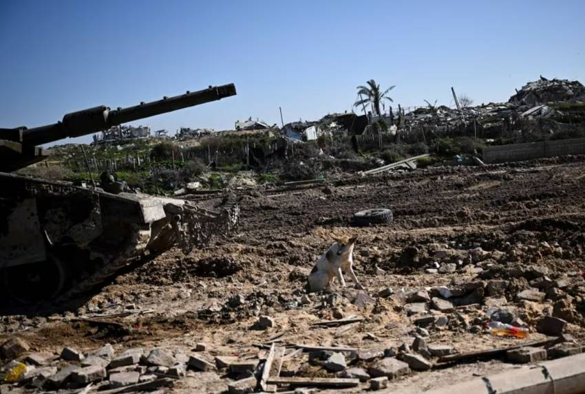 Mengapa Jerman Ingatkan Israel tentang Bencana Besar jika Melakukan Invasi Darat ke Rafah?