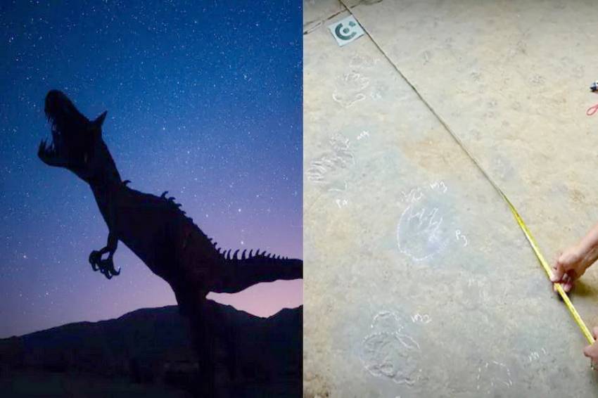 Jejak Dinosaurus Ratusan Juta Tahun Ditemukan di Thailand
