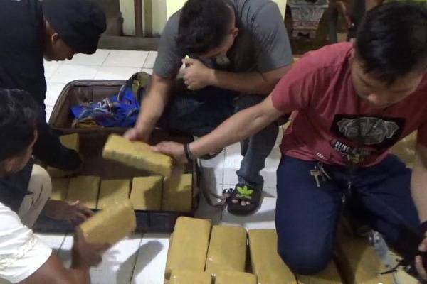 Polisi Lampung Gagalkan Penyelundupan 28 Kg Ganja Aceh di Bakauheni