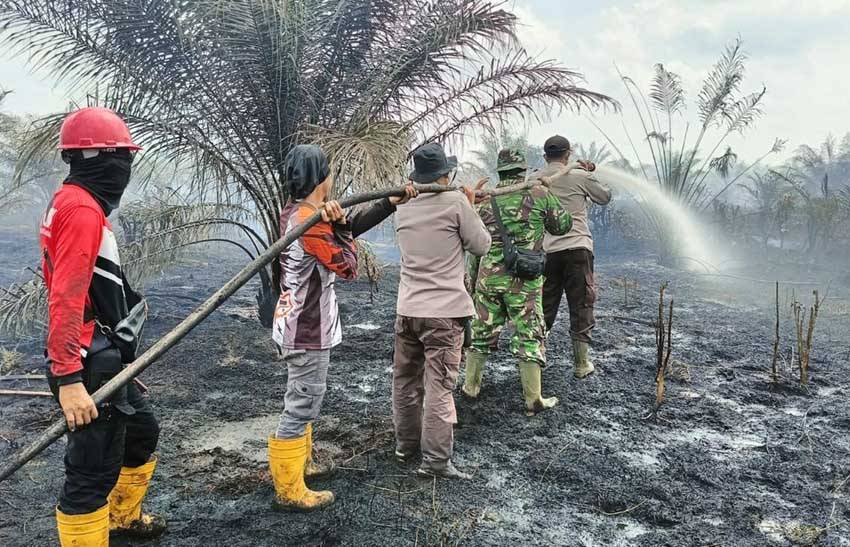 15 Hektare Lahan Kebun Sawit Terbakar di Bengkalis Riau