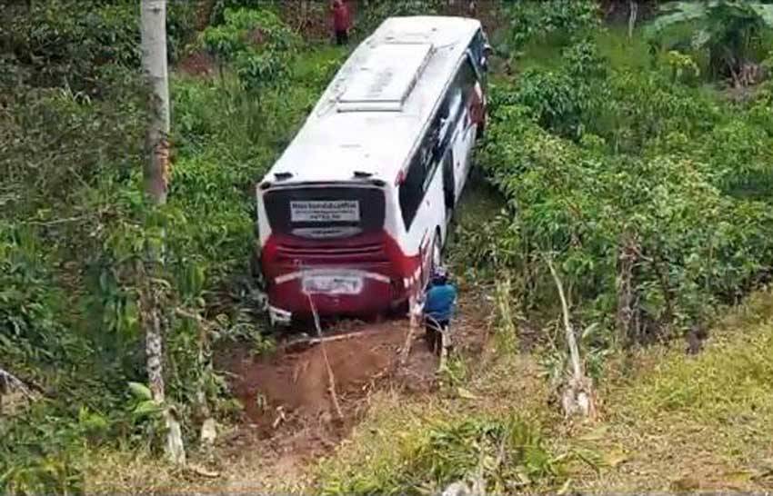 Terhalang Kabut, Bus Berisi 18 Penumpang Terjun Bebas ke Jurang Sedalam 50 Meter