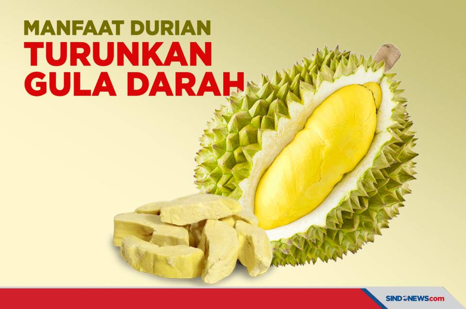 Durian kalori Ternyata, Makan