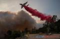 Kebakaran Hebat Kembali Berkobar di California, Hanguskan 1.200 Hektare Lahan