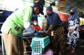 Program Vaksin Rabies Gratis di Jakarta Ramai Peminat