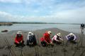 Amil Zakat Nurul Hayat Gelar Aksi Tanam Mangrove di Pantai Tirang Tapak Tugu Semarang