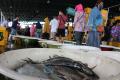 Jelang Malam Tahun Baru, Pasar Ikan Muara Angke Ramai Pembeli