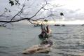 Bangkai Paus Ditemukan Terdampar di Perairan Pantai Liang Bunaken