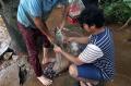 Warga Asik Menjala Ikan Mas Jumbo Saat Banjir Melanda Kawasan TB Simatupang