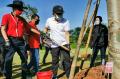 Dukung Program Penghijauan, PDIP Tanam Pohon di Gelora Bung Karno