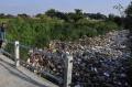 Penampakan Tumpukan Sampah di Kali Busa Sepanjang 200 Meter