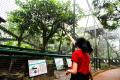 Wahana Taman Burung TMII Mulai Dibuka Untuk Rekreasi