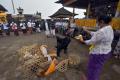 Mengintip Ritual Penyucian Hewan Kurban di Bali