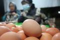 Sabar ya Bun, Harga Telur Ayam Kini Tembus Rp37.000/Kg