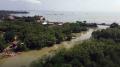 Edu-ekowisata Mangrove Atasi Migitasi dan Adaptasi Perubahan Iklim