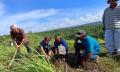 Didukung YDBA, DAB Subur Resmikan Program Pembinaan Petani Serai Wangi