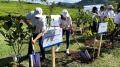 Astra Financial dan Bank Jasa Jakarta Tanam 6.600 Pohon di Hulu Sungai Ciliwung
