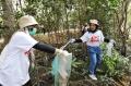 Lestarikan Lingkungan, Sampoerna Bersih-bersih Sampah dan Tanam Bakau di Kebun Raya Mangrove Surabaya