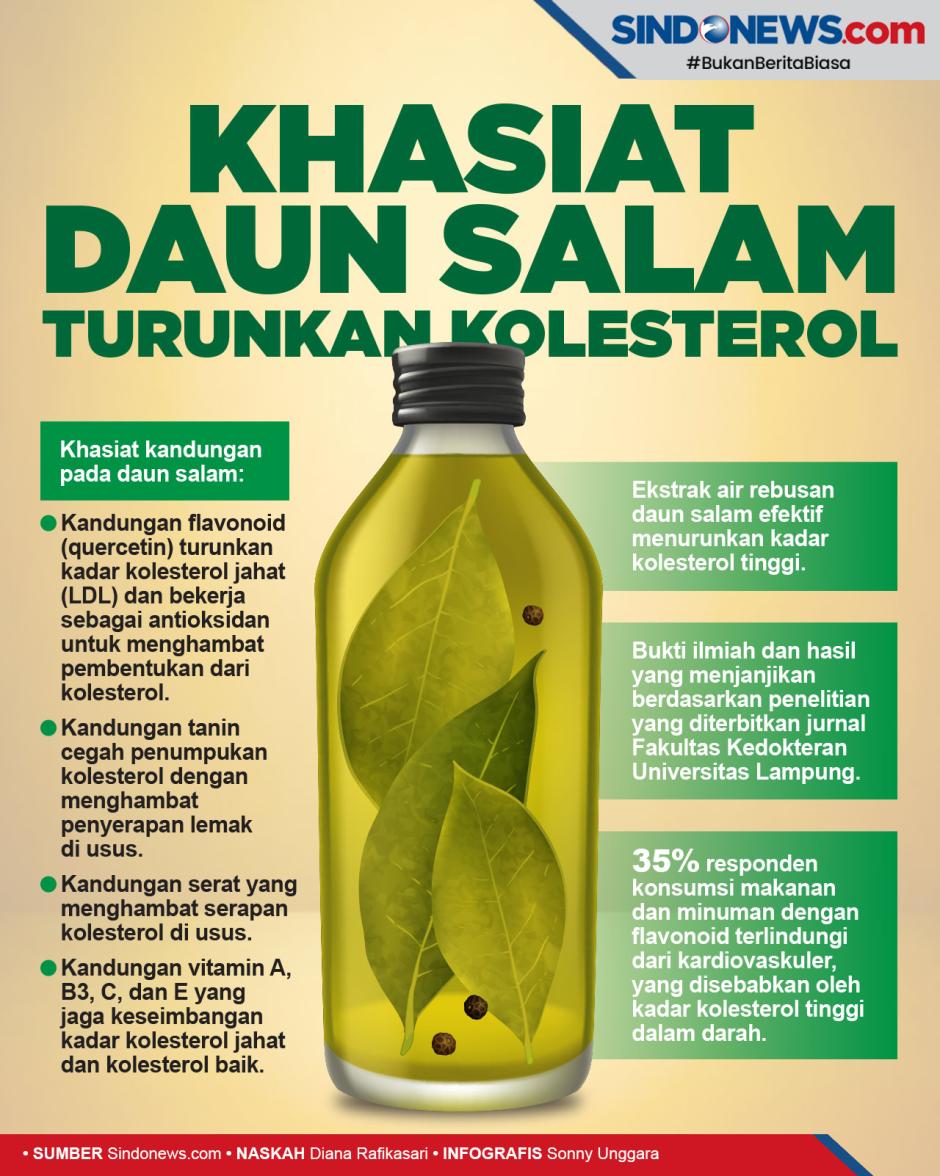 khasiat air rebusan daun salam efektif turunkan kolesterol tinggi def